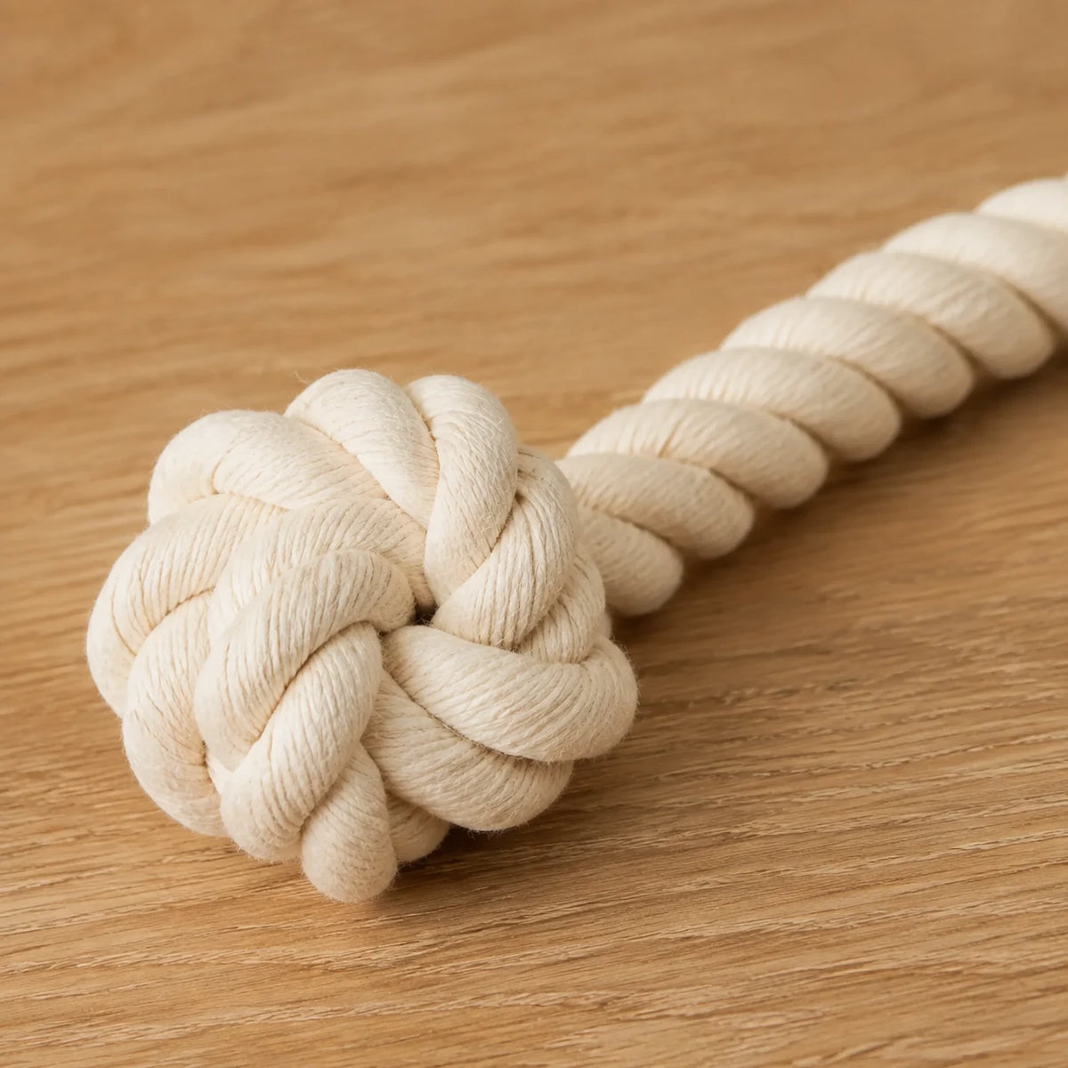Rope Tug Toy — close detail: Undyed natural cotton